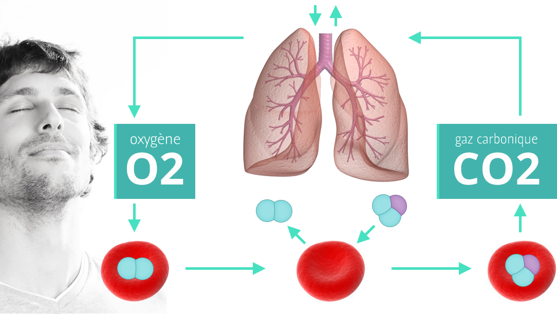 SAVEZVOUS QUE LE CO2 EST INDISPENSABLE À VOTRE SANTÉ ? Samozdrav Appareil d